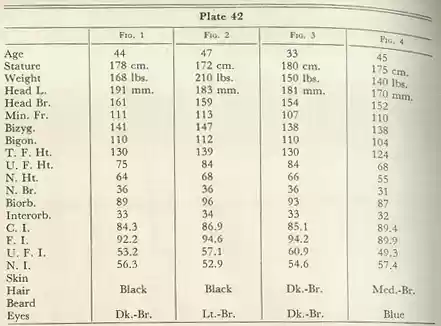 Plate 42